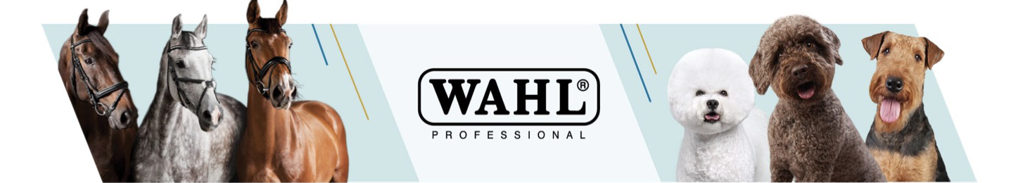 Snímek obrazovky 2025-12-10 v 19.08.26